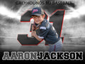 Baseball/Softball Storm the Field 18x24 Yard Sign
